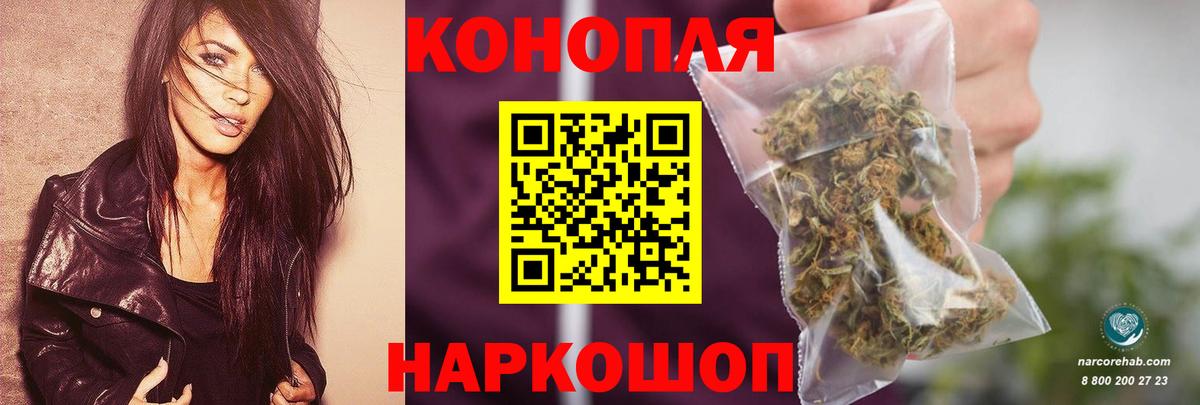 Марихуана планчик  Вход с VPN  Курчалой  Марихуана SATIVA & INDICA  Бошки марихуана VHQ  МАРИХУАНА индика 